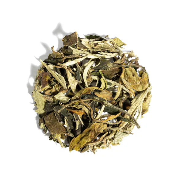 Pai Mu Tan